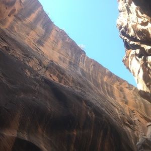 Meet your Posher, Mia